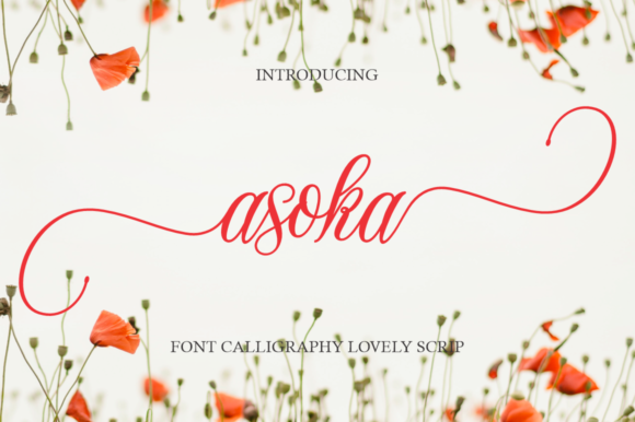 Asoka: The Script Font That Elevates Every Design